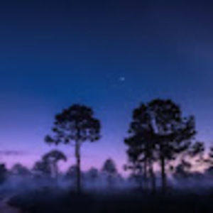 Meet your Posher, Skylar